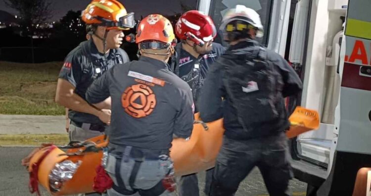 Senderista queda lesionada tras ataque de abejas en el Cerro del Chupón, Nuevo León