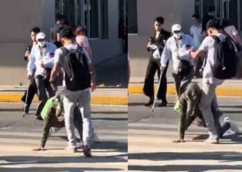“Therian” con máscara de cocodrilo sufre agresión en Tampico, Tamaulipas