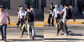 “Therian” con máscara de cocodrilo sufre agresión en Tampico, Tamaulipas