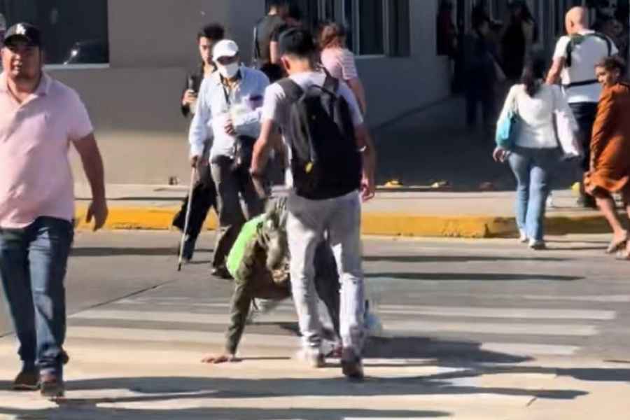 “Therian” con máscara de cocodrilo sufre agresión en Tampico, Tamaulipas