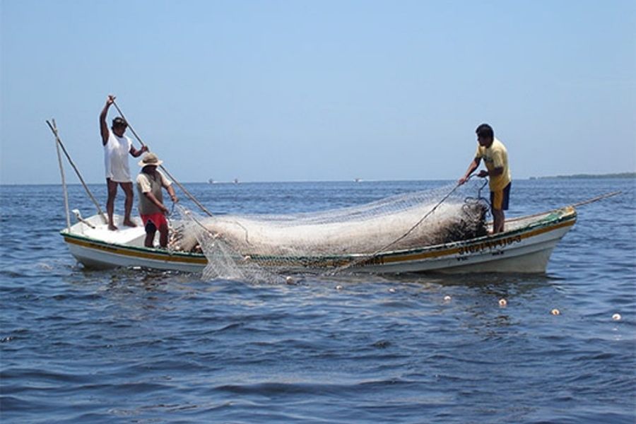 Torneo de Pesca Nuevo Laredo 2026