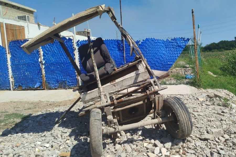Yegua muere tras caer a laguna y ahogarse en Ciudad Madero, Tamaulipas