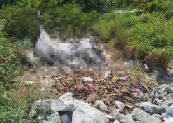 Yegua muere tras caer a laguna y ahogarse en Ciudad Madero, Tamaulipas