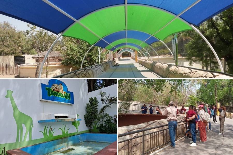 Zoológico Tamatán precios Ciudad Victoria