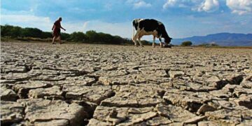ciclo agrícola 2026 Tamaulipas