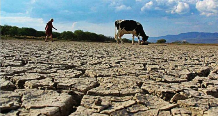 ciclo agrícola 2026 Tamaulipas