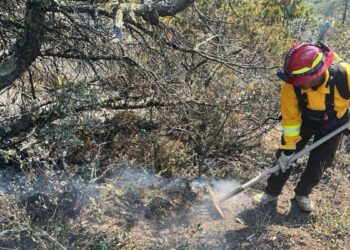 control de incendio forestal en Miquihuana
