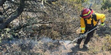 control de incendio forestal en Miquihuana