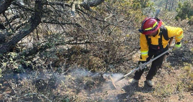 control de incendio forestal en Miquihuana