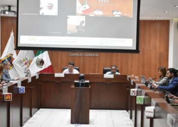 IETAM transparencia partidista