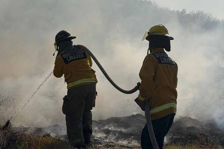 _incendio en el Ejido el Poblado de Linares (1)