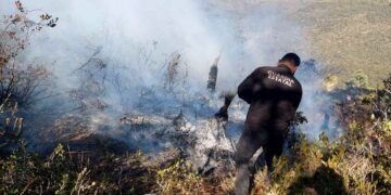 incendio en la sierra de Miquihuana