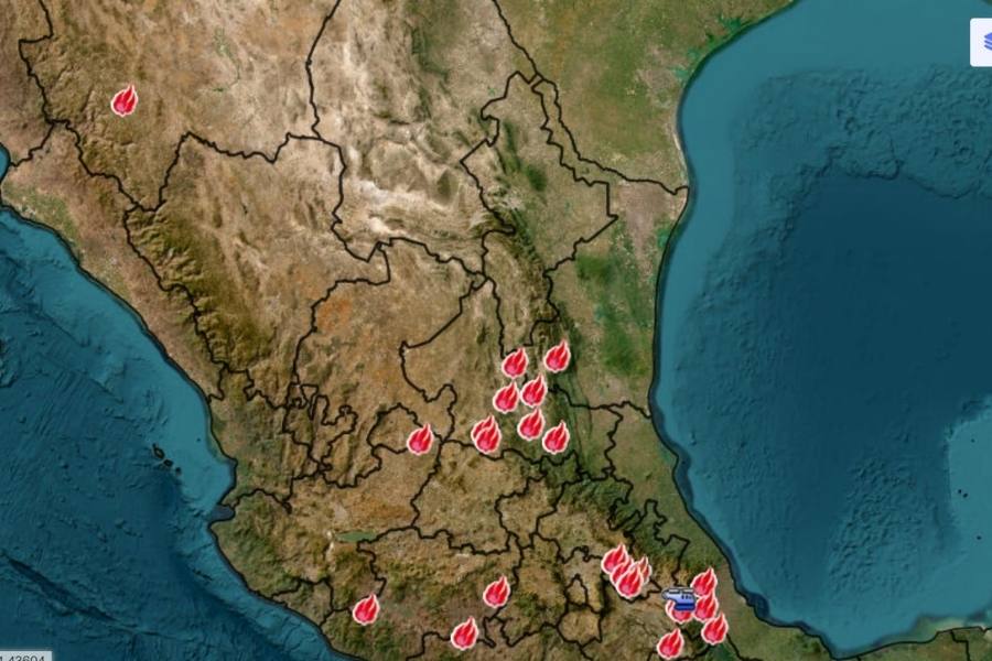 incendio forestal en Miquihuana