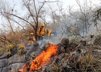incendio forestal en Miquihuana
