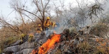 incendio forestal en Miquihuana
