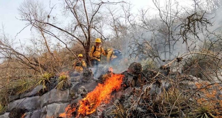 incendio forestal en Miquihuana