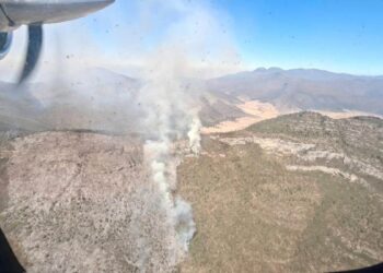 incendio forestal sierra Miquihuana