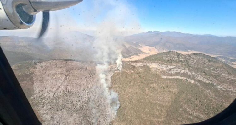 incendio forestal sierra Miquihuana