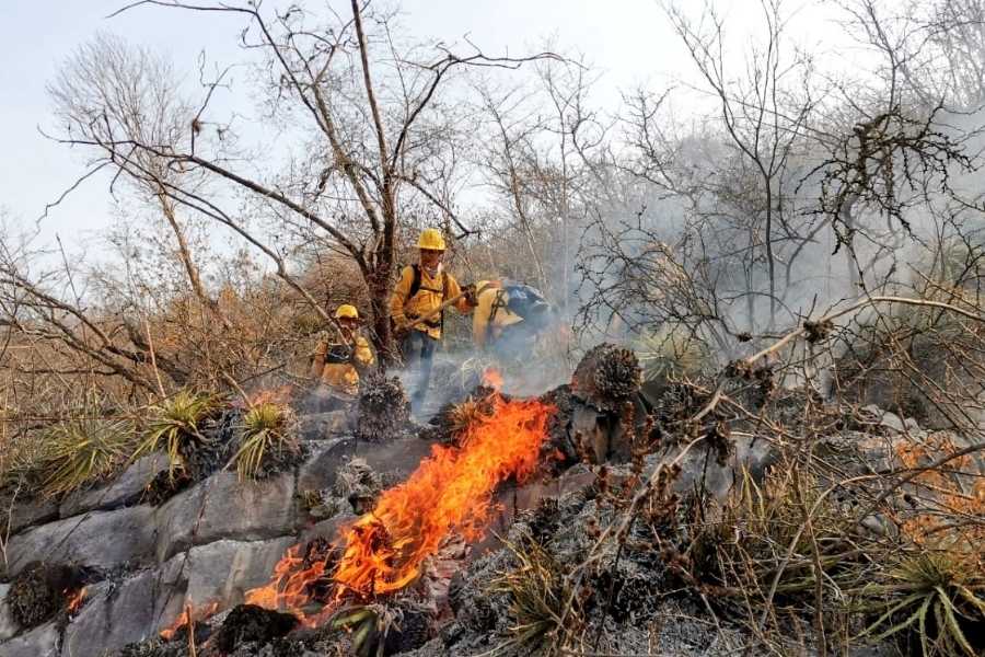 incendios Protección Civil Tamaulipas