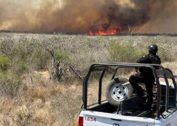 incendios forestales Tamaulipas 2026