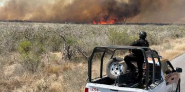 incendios forestales Tamaulipas 2026