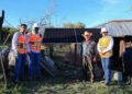 paneles solares SEDENER Tamaulipas
