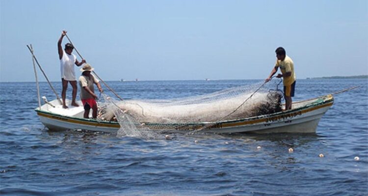 pesca por Cuaresma en Tamaulipas