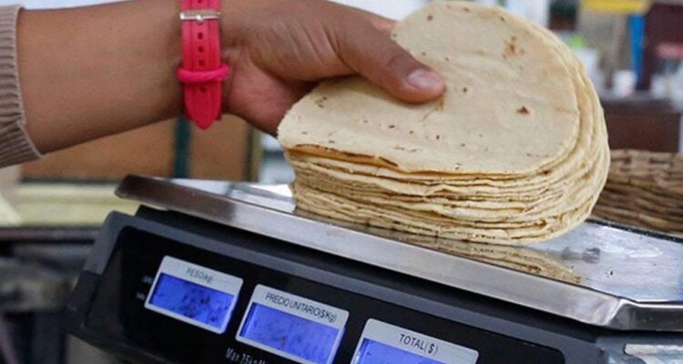 precio kilo de tortilla Victoria