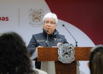 proyecto fotovoltaico Tula