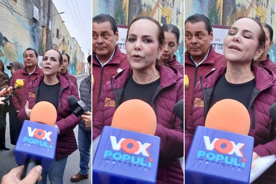 servicios municipales colonia los artistas