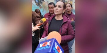 servicios municipales colonia los artistas