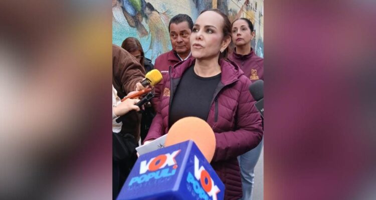 servicios municipales colonia los artistas