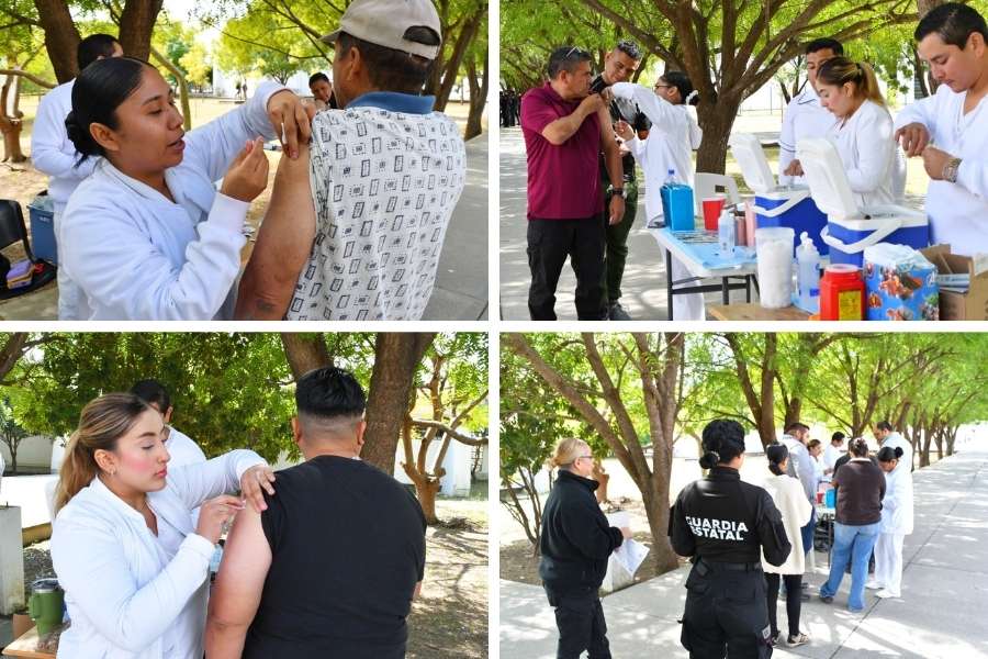 vacuna sarampión Tamaulipas 2026