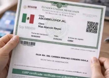 ¿Cómo consultar y descargar la CURP certificada gratis desde internet?
