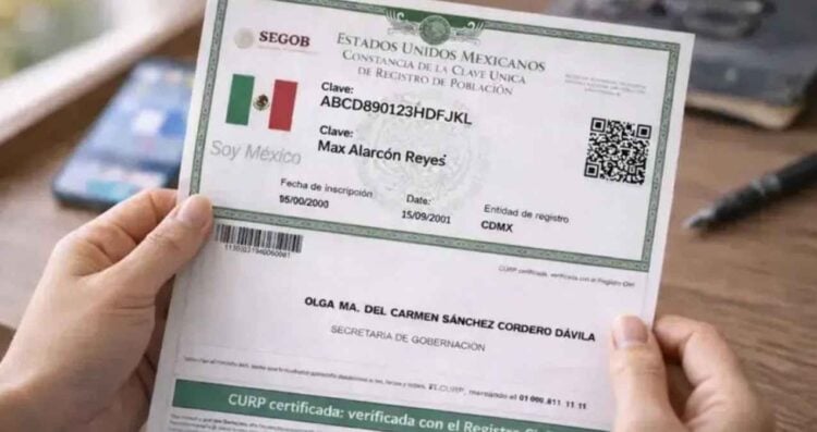 ¿Cómo consultar y descargar la CURP certificada gratis desde internet?