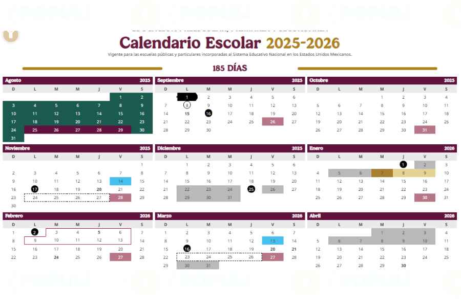 ¿Cuántos megapuentes tendrán los estudiantes en marzo de este 2026?