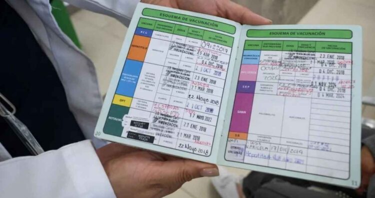 ¿Dónde y cómo solicitar una reposición de la cartilla de vacunación?