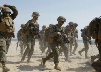 ¿Por qué llegan marinos de Estados Unidos a México y qué implica?
