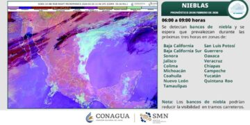 ¿Prevén clima cálido con rachas de viento en Tamaulipas HOY?