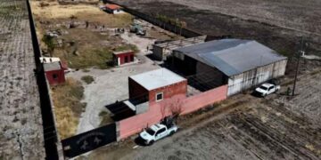 un año investigaciones Rancho Izaguirre