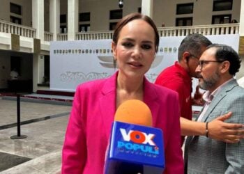 Carmen Lilia cartera de proyectos Gobierno