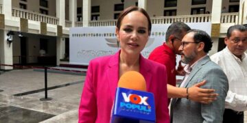 Carmen Lilia cartera de proyectos Gobierno
