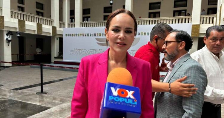 Carmen Lilia cartera de proyectos Gobierno