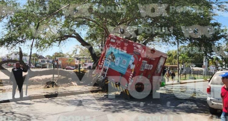 Camión de Coca-Cola se impacta contra árbol en el centro de Ciudad Madero, Tamaulipas