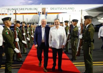 de la Fuente Presidente de Alemania
