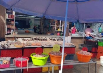 Comerciantes de La Puntilla en Tampico, Tamaulipas, descartan contaminación en mariscos