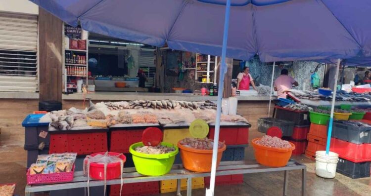 Comerciantes de La Puntilla en Tampico, Tamaulipas, descartan contaminación en mariscos