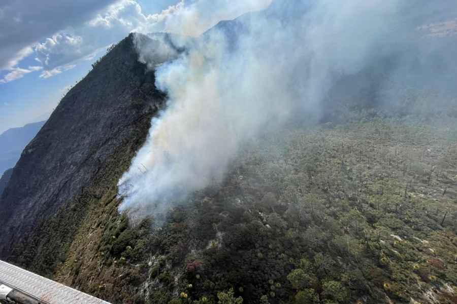 Confirma Seduma afectación de 450 hectáreas por incendio en Miquihuana, Tamaulipas