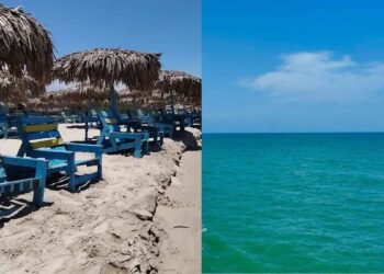 Cuál es el precio de las palapas en Playa Miramar