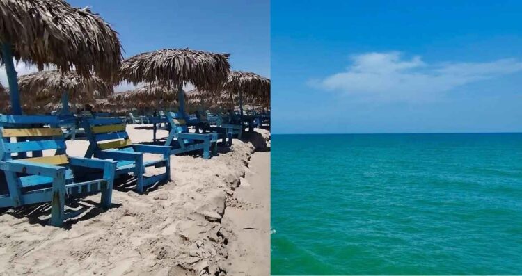 Cuál es el precio de las palapas en Playa Miramar